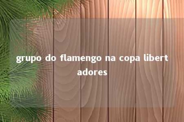 grupo do flamengo na copa libertadores 